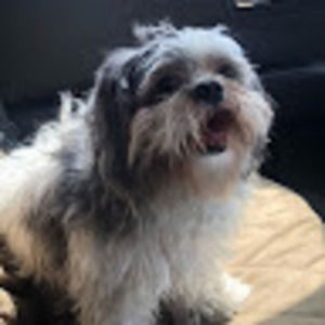 Meet your Posher, Angelina